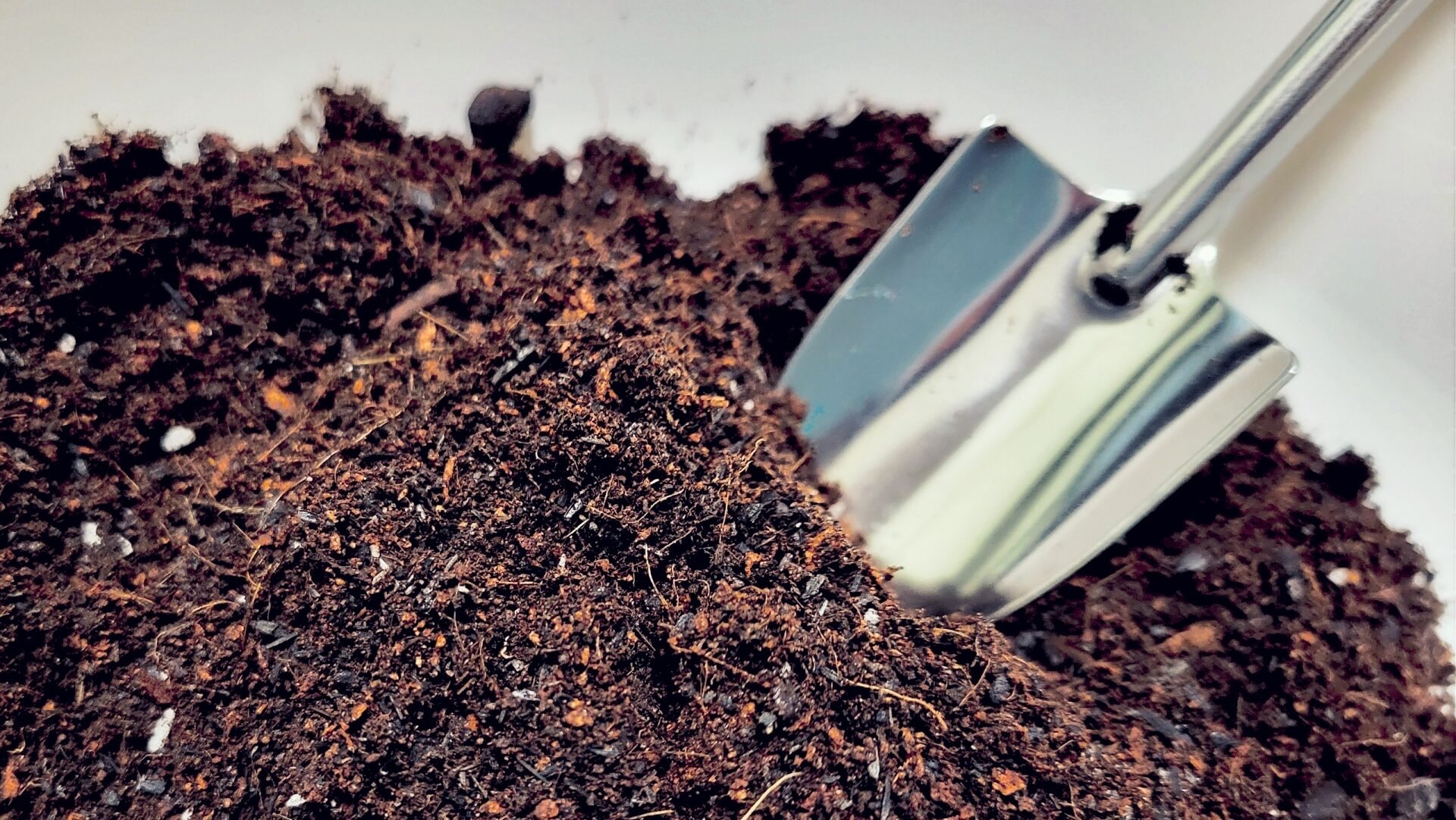 【日本で土葬は禁止？】法律上だめ？火葬が99%を占める理由を徹底解説