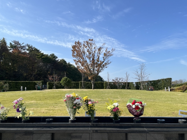 1. 樹木葬（じゅもくそう）タイプ🌳